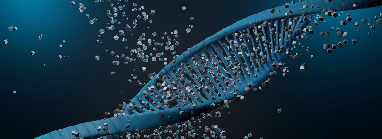 Helix complementary strand of DNA of RNA